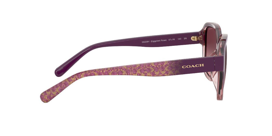 Солнцезащитные очки Coach L1153 HC8298U 56228H