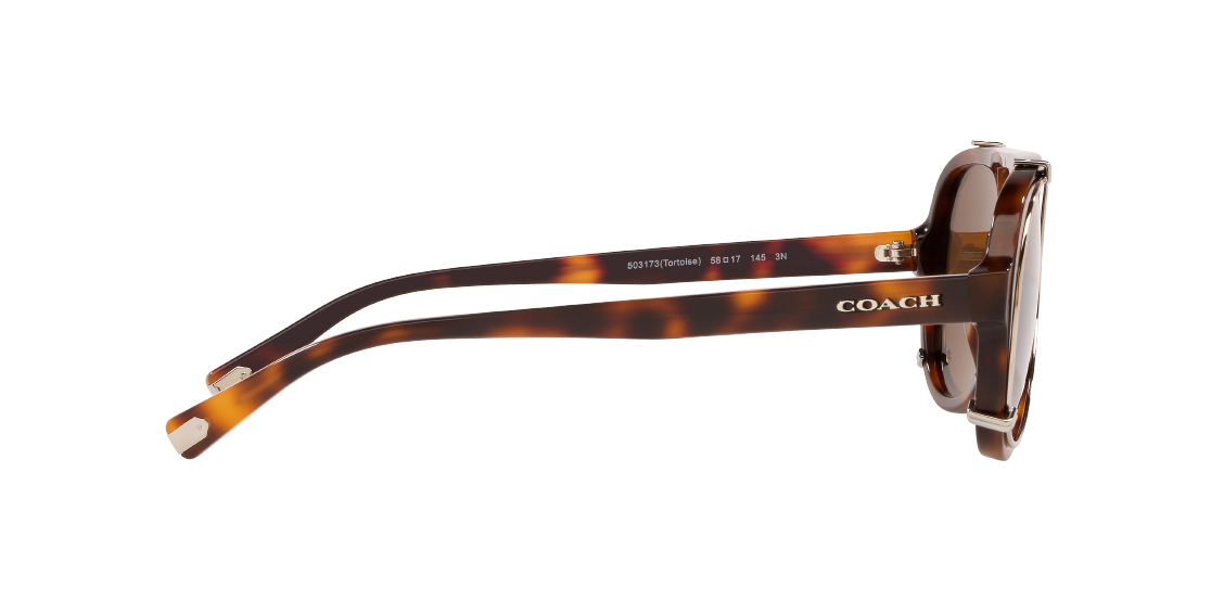 Солнцезащитные очки Coach L1141 HC8301 503173