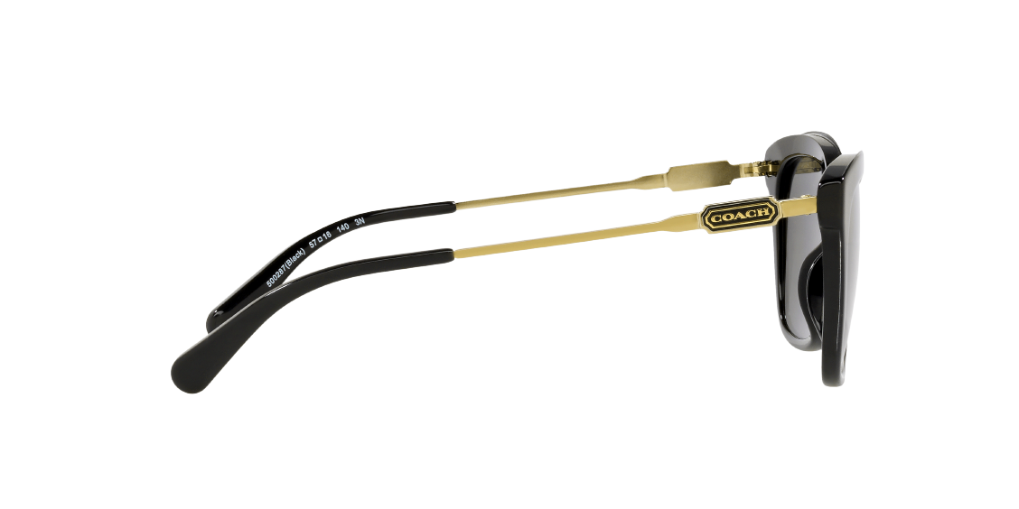 Солнцезащитные очки Coach L1168 HC8305 500287
