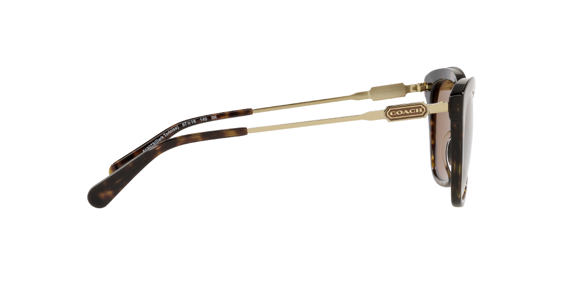 Солнцезащитные очки Coach L1168 HC8305 512073