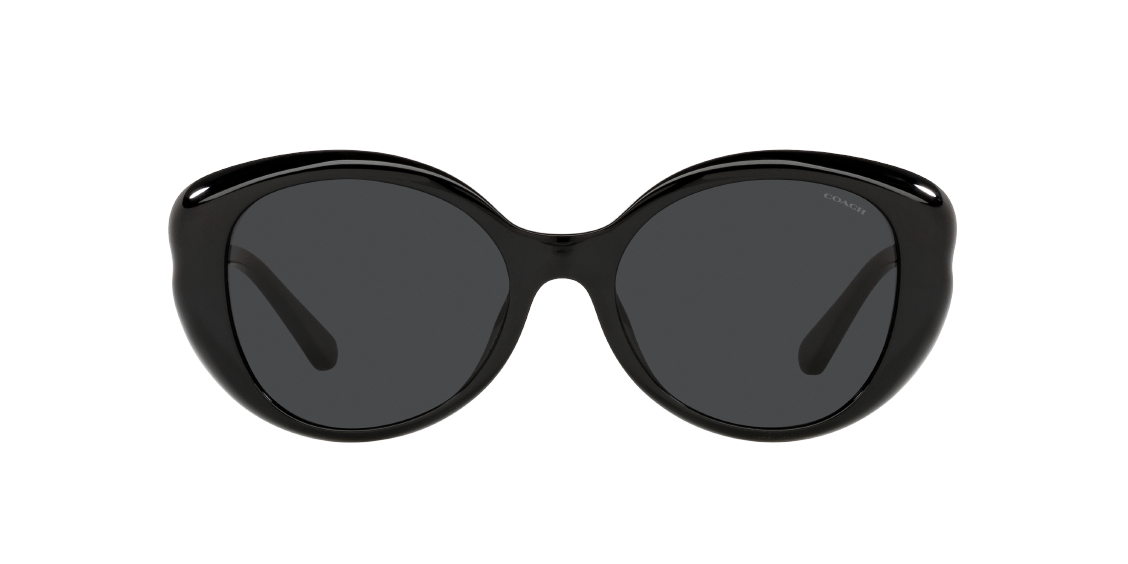 Солнцезащитные очки Coach L1171 HC8306U 500287