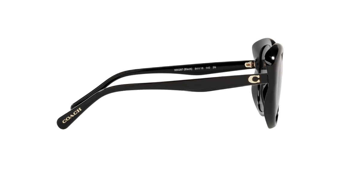 Солнцезащитные очки Coach L1171 HC8306U 500287