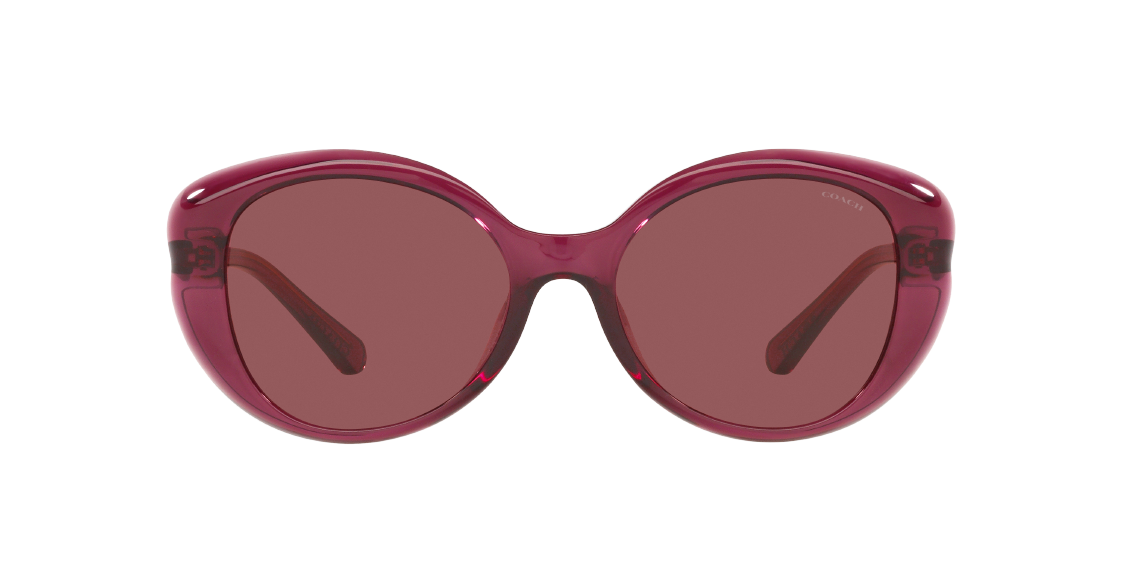 Солнцезащитные очки Coach L1171 HC8306U 557469