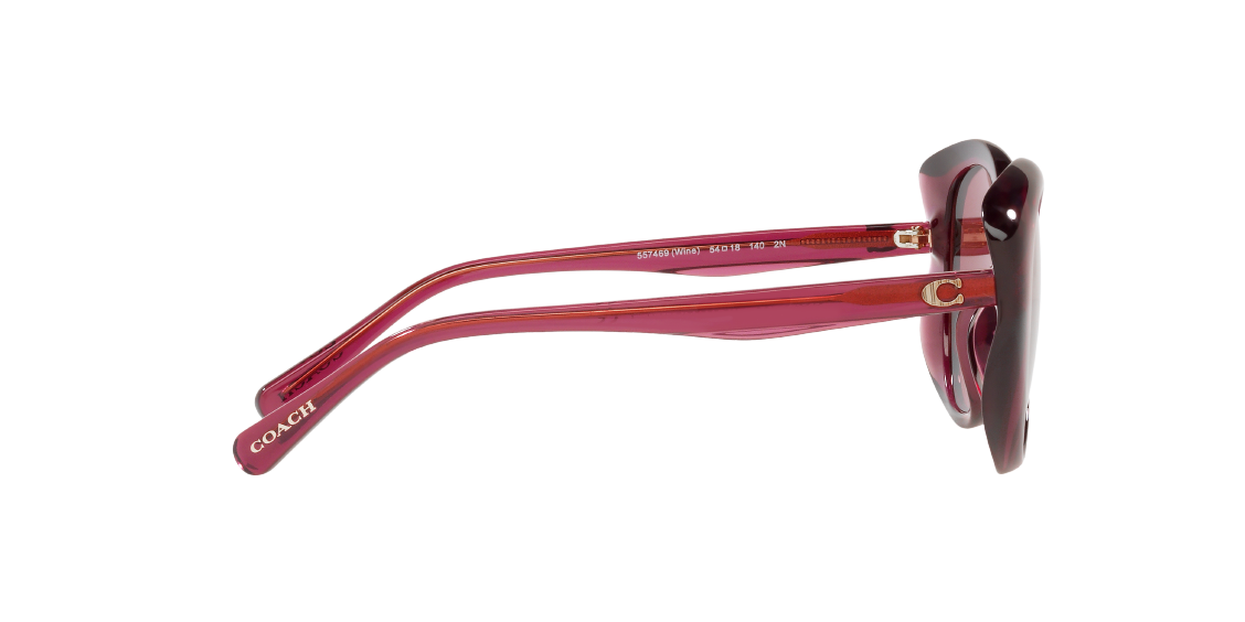 Солнцезащитные очки Coach L1171 HC8306U 557469