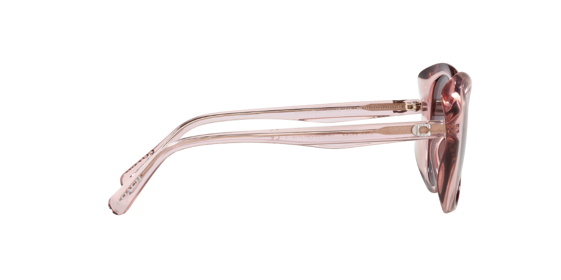 Солнцезащитные очки Coach L1171 HC8306U 55757N