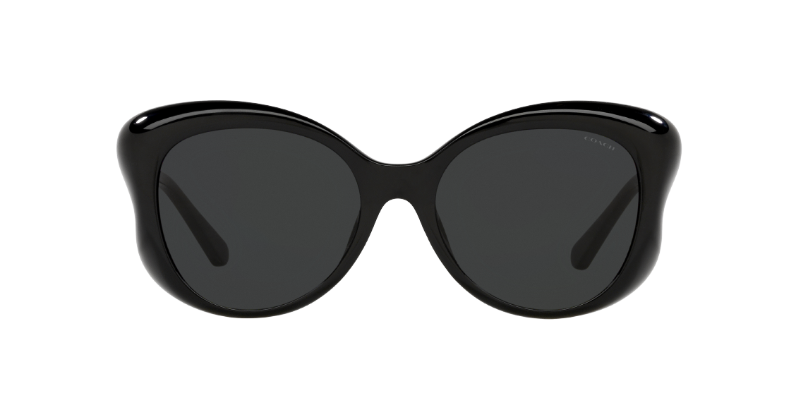 Солнцезащитные очки Coach L1170 HC8307U 500287