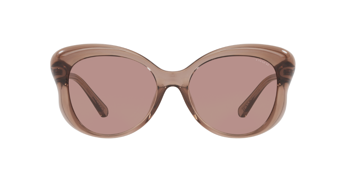 Солнцезащитные очки Coach L1170 HC8307U 503973