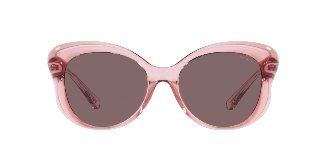 Солнцезащитные очки Coach L1170 HC8307U 55757N