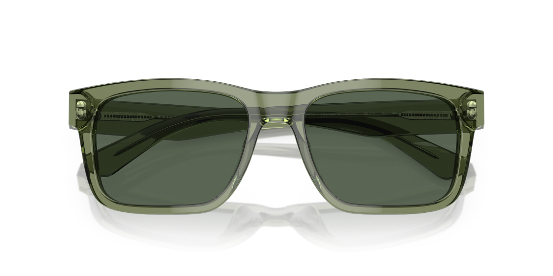 Солнцезащитные очки Coach L1161 HC8308U 569471