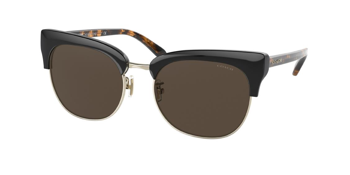 Солнцезащитные очки Coach L1162 HC8309 500273