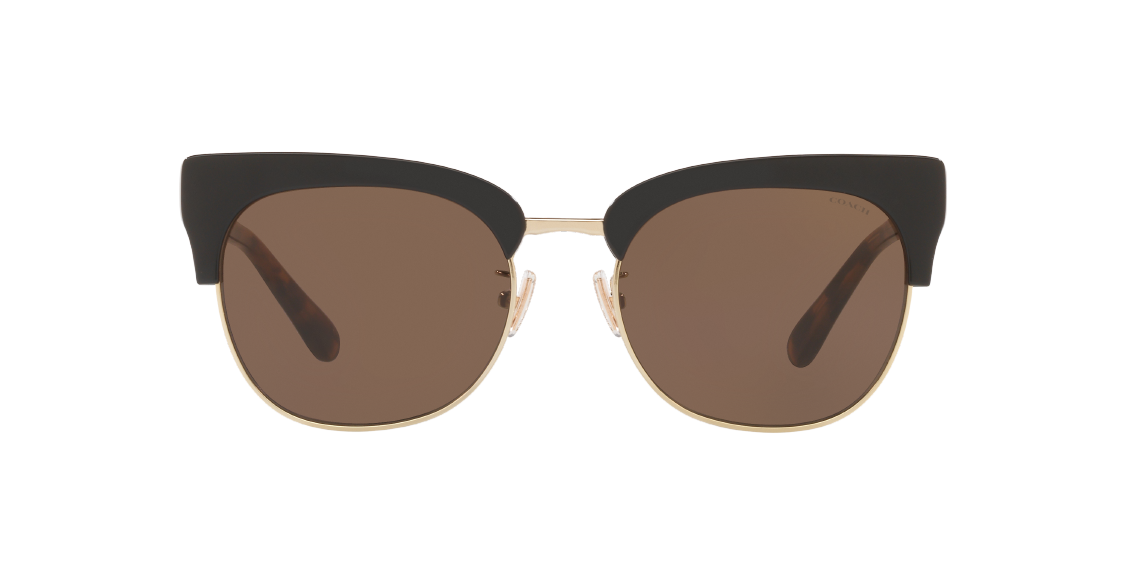 Солнцезащитные очки Coach L1162 HC8309 500273