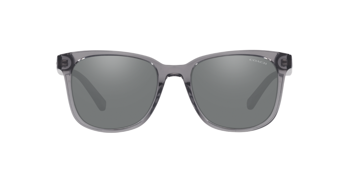 Солнцезащитные очки Coach C2095 HC8313U 55376G
