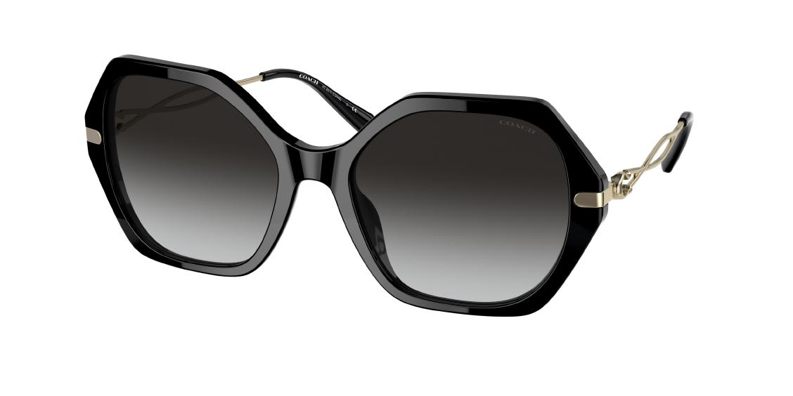 Солнцезащитные очки Coach C3445 HC8315 50028G