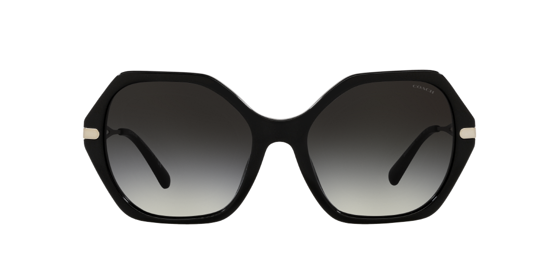 Солнцезащитные очки Coach C3445 HC8315 50028G