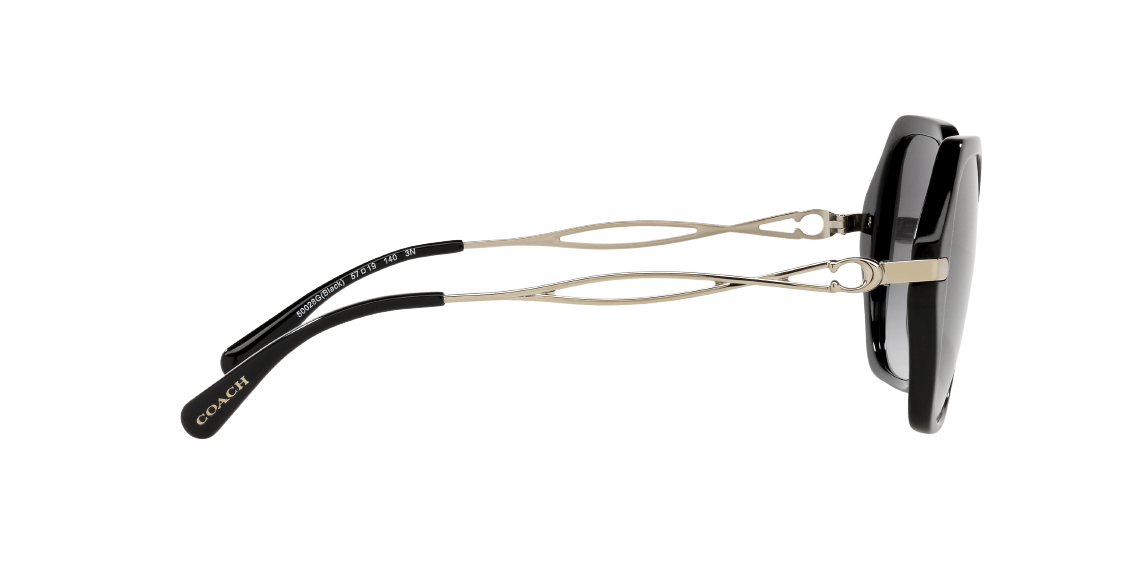 Солнцезащитные очки Coach C3445 HC8315 50028G