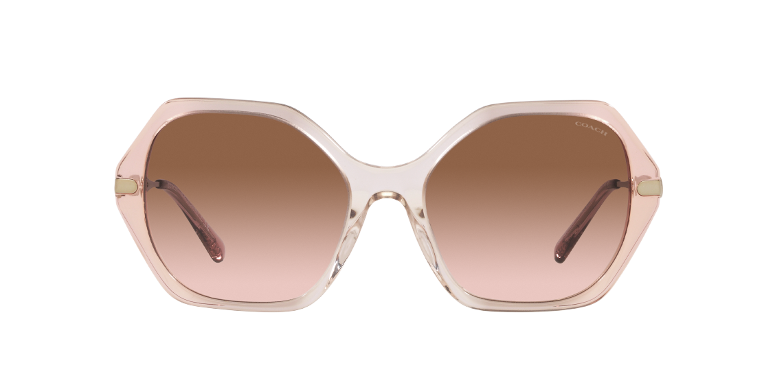 Солнцезащитные очки Coach C3445 HC8315 564013