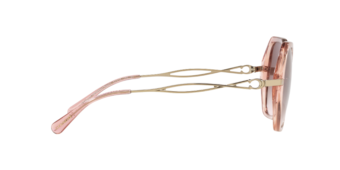 Солнцезащитные очки Coach C3445 HC8315 564013