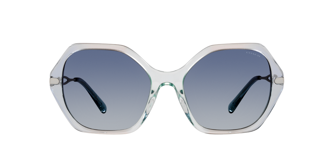 Солнцезащитные очки Coach C3445 HC8315 56424L