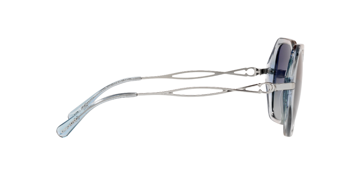 Солнцезащитные очки Coach C3445 HC8315 56424L