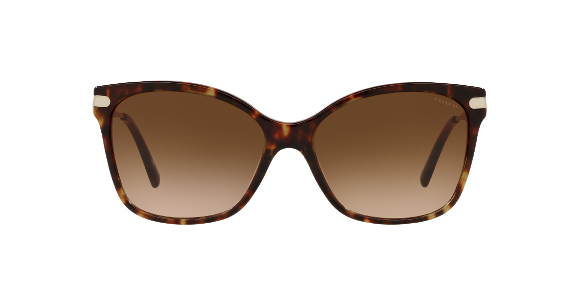 Солнцезащитные очки Coach C3446 HC8316 512074