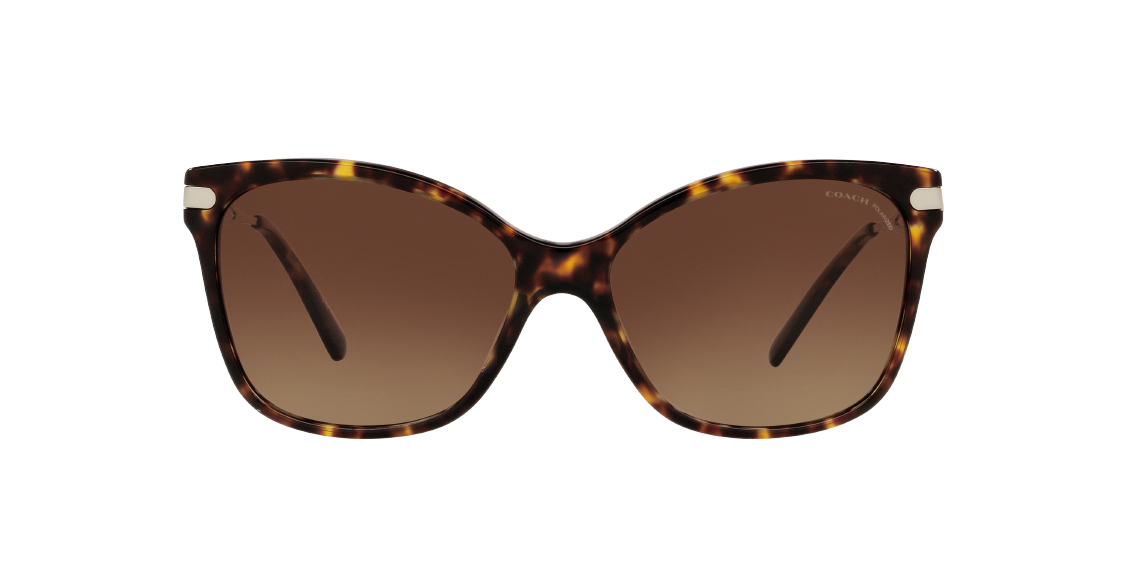 Солнцезащитные очки Coach C3446 HC8316 5120T5