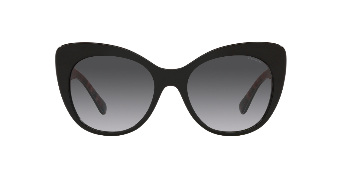 Солнцезащитные очки Coach C3448 HC8317 50028G