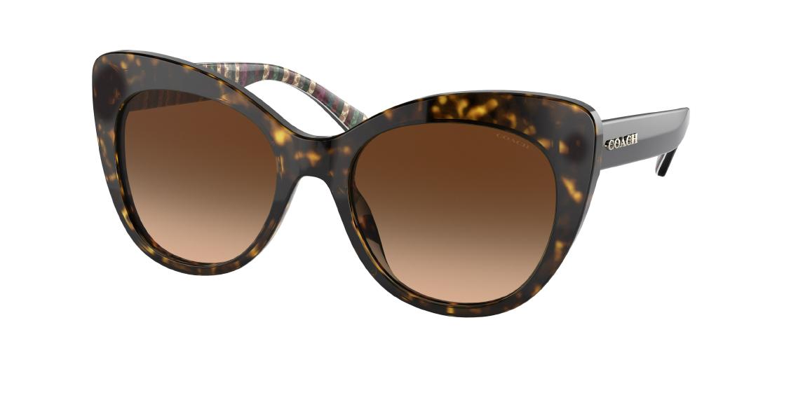 Солнцезащитные очки Coach C3448 HC8317 512074