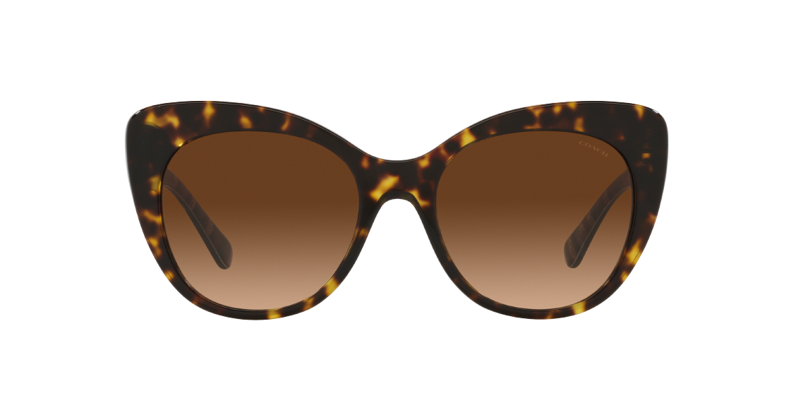 Солнцезащитные очки Coach C3448 HC8317 512074