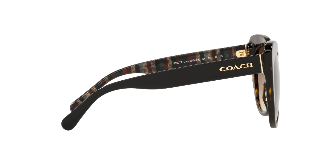 Солнцезащитные очки Coach C3448 HC8317 512074