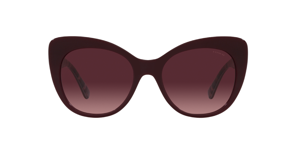 Солнцезащитные очки Coach C3448 HC8317 54798H