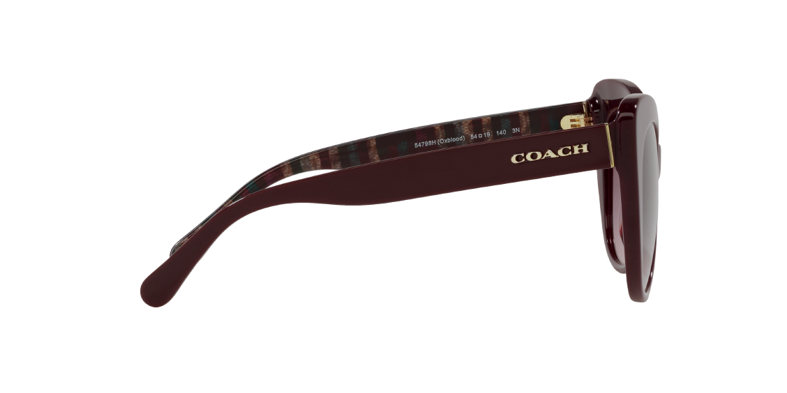 Солнцезащитные очки Coach C3448 HC8317 54798H