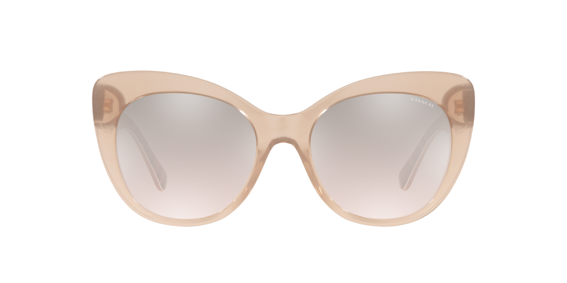 Солнцезащитные очки Coach C3448 HC8317 55238Z