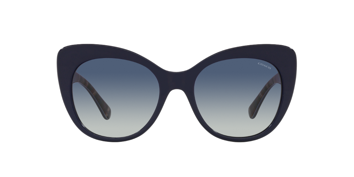 Солнцезащитные очки Coach C3448 HC8317 56324L