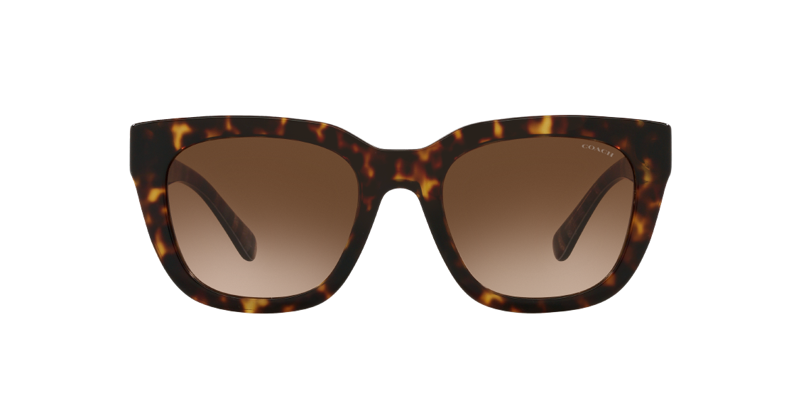 Солнцезащитные очки Coach C3449 HC8318 512074