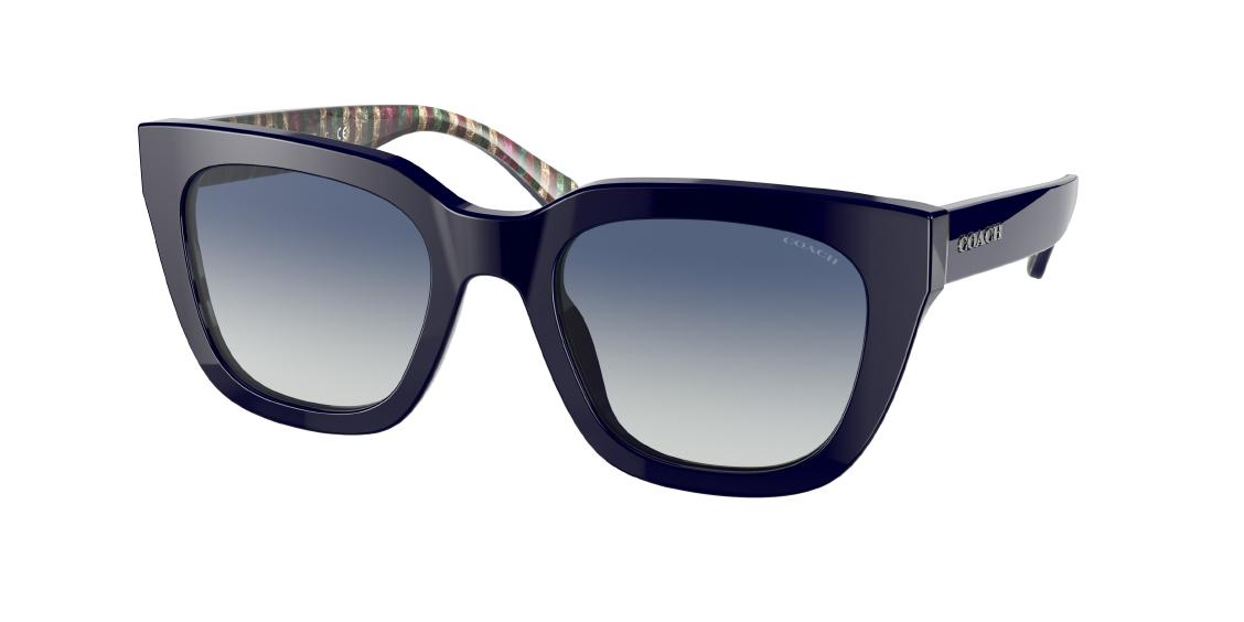 Солнцезащитные очки Coach C3449 HC8318 56324L