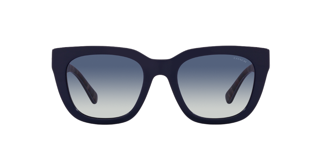 Солнцезащитные очки Coach C3449 HC8318 56324L