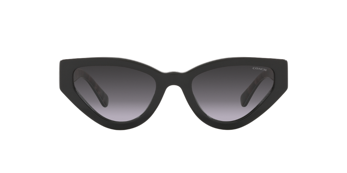 Солнцезащитные очки Coach C3450 HC8319 50028G