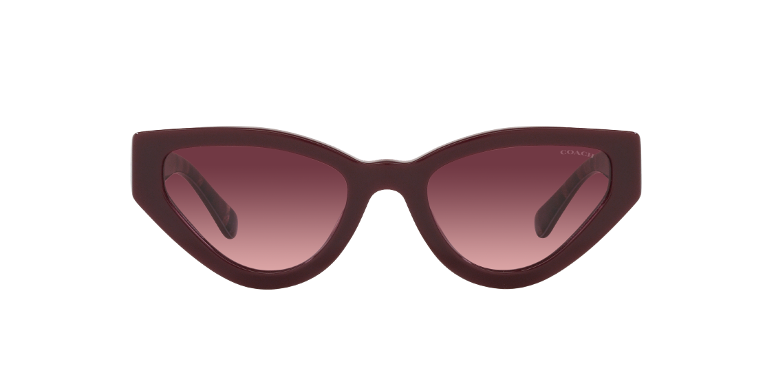 Солнцезащитные очки Coach C3450 HC8319 54798H