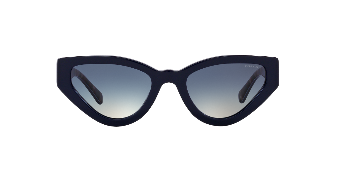Солнцезащитные очки Coach C3450 HC8319 56324L