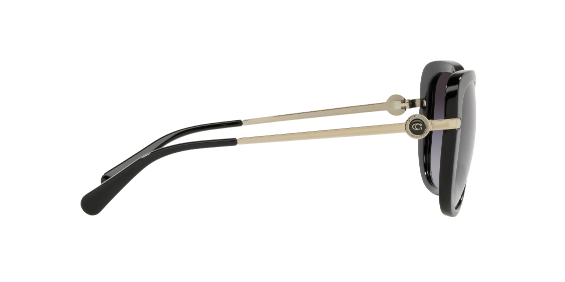 Солнцезащитные очки Coach C6180 HC8320 50028G