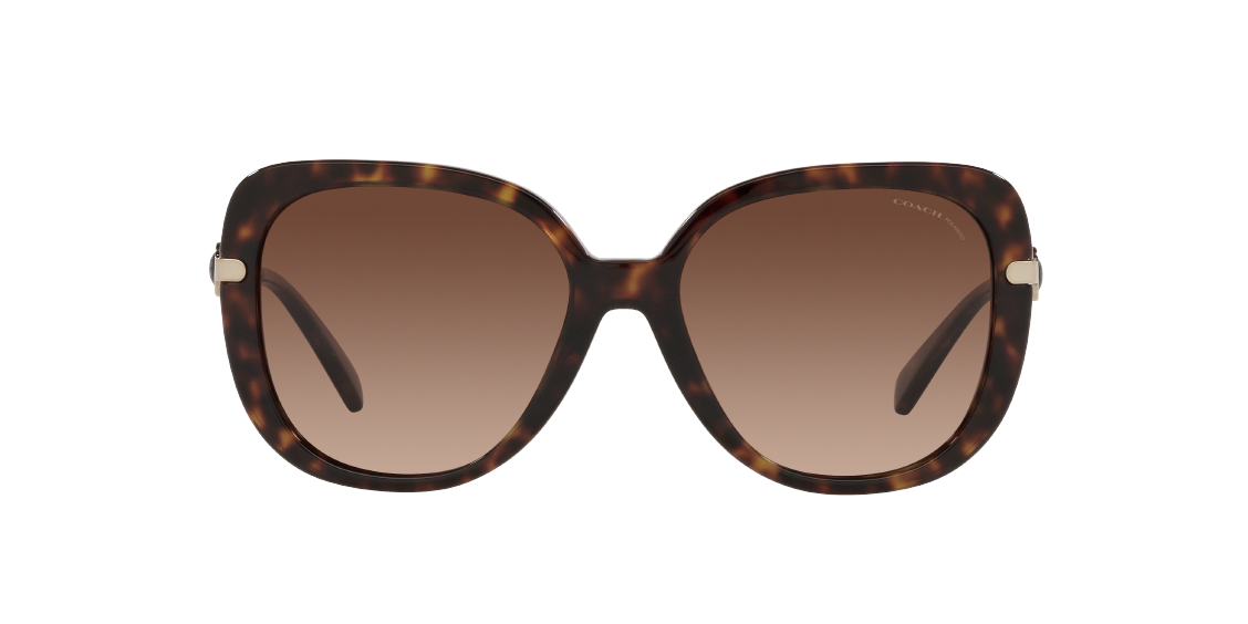 Солнцезащитные очки Coach C6180 HC8320 5120T5