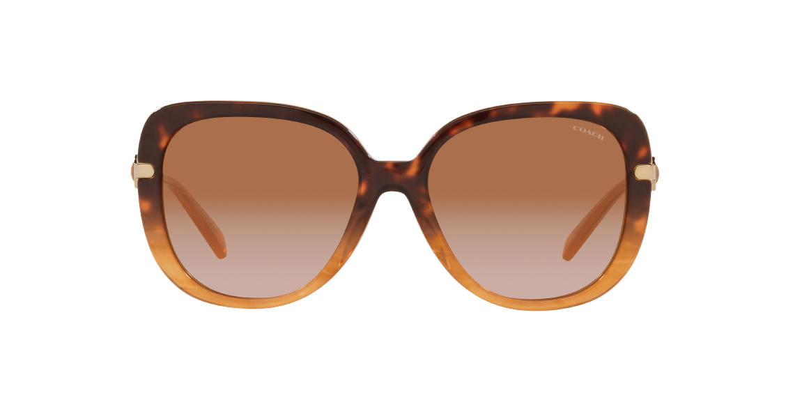 Солнцезащитные очки Coach C6180 HC8320 565313