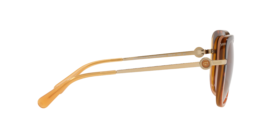 Солнцезащитные очки Coach C6180 HC8320 565313