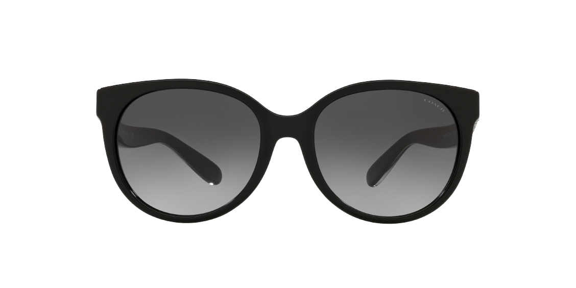 Солнцезащитные очки Coach C6181 HC8321 50028G