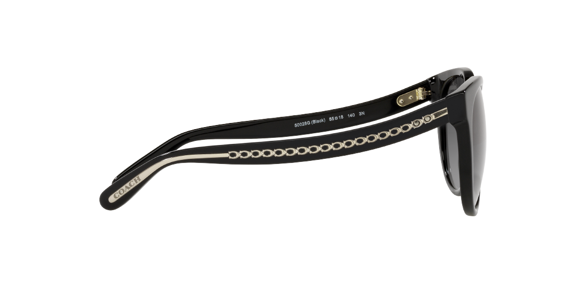Солнцезащитные очки Coach C6181 HC8321 50028G