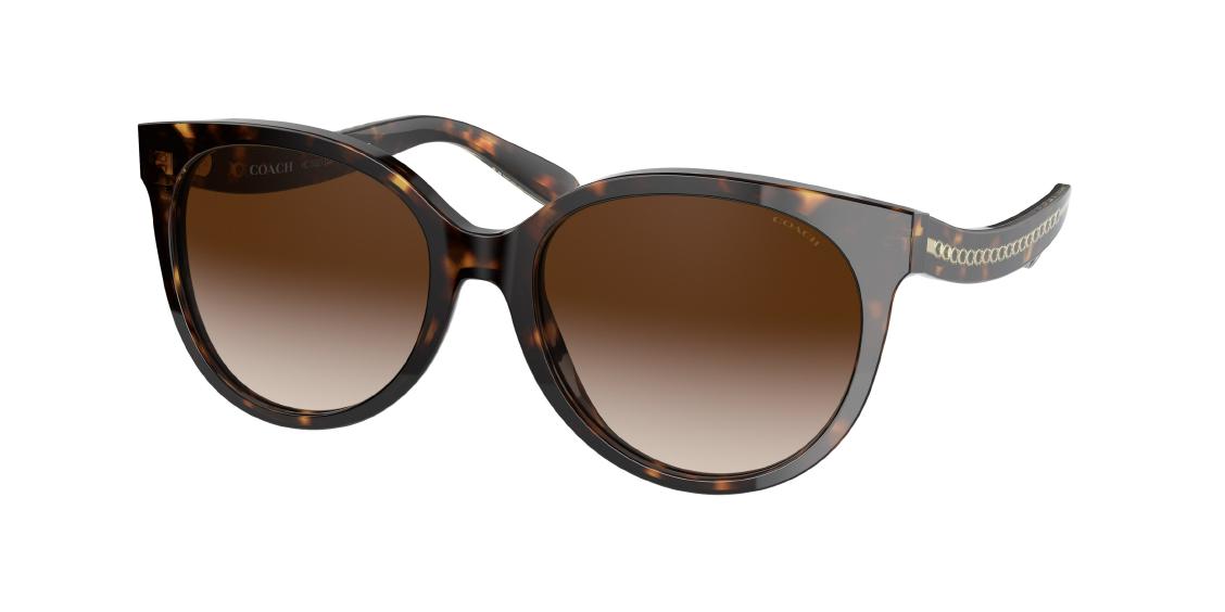Солнцезащитные очки Coach C6181 HC8321 51203B
