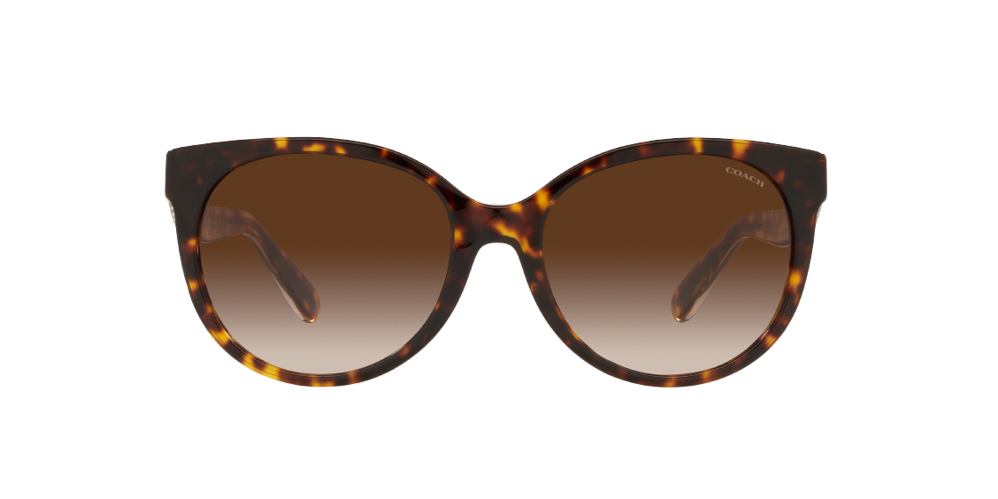 Солнцезащитные очки Coach C6181 HC8321 51203B