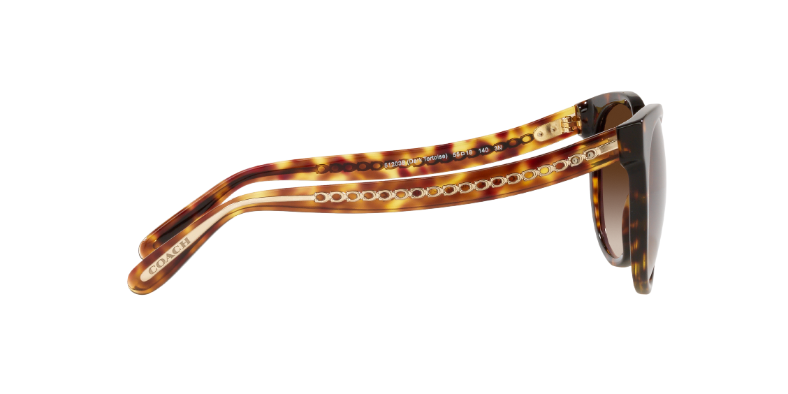 Солнцезащитные очки Coach C6181 HC8321 51203B