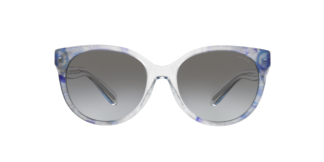 Солнцезащитные очки Coach C6181 HC8321 56553C