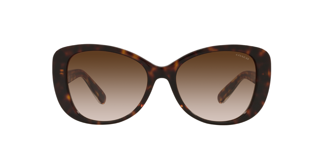 Солнцезащитные очки Coach C6183 HC8322 51203B